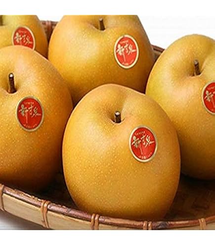 Amazon.co.jp: 訳あり 梨 鳥取 新甘泉 約10kg 12玉～40玉 糖度14度前後